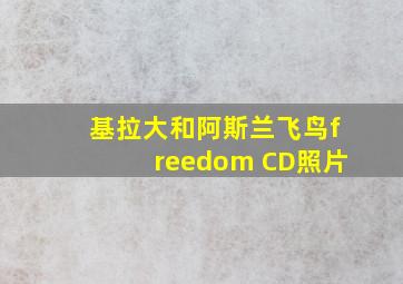 基拉大和阿斯兰飞鸟freedom CD照片